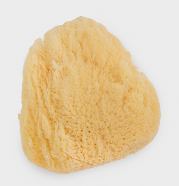 Natural Sea Sponge